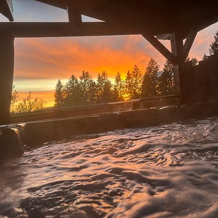 Chalet Avec Jacuzzi Prive, Vue Sur Les Vosges Belfahy エクステリア 写真