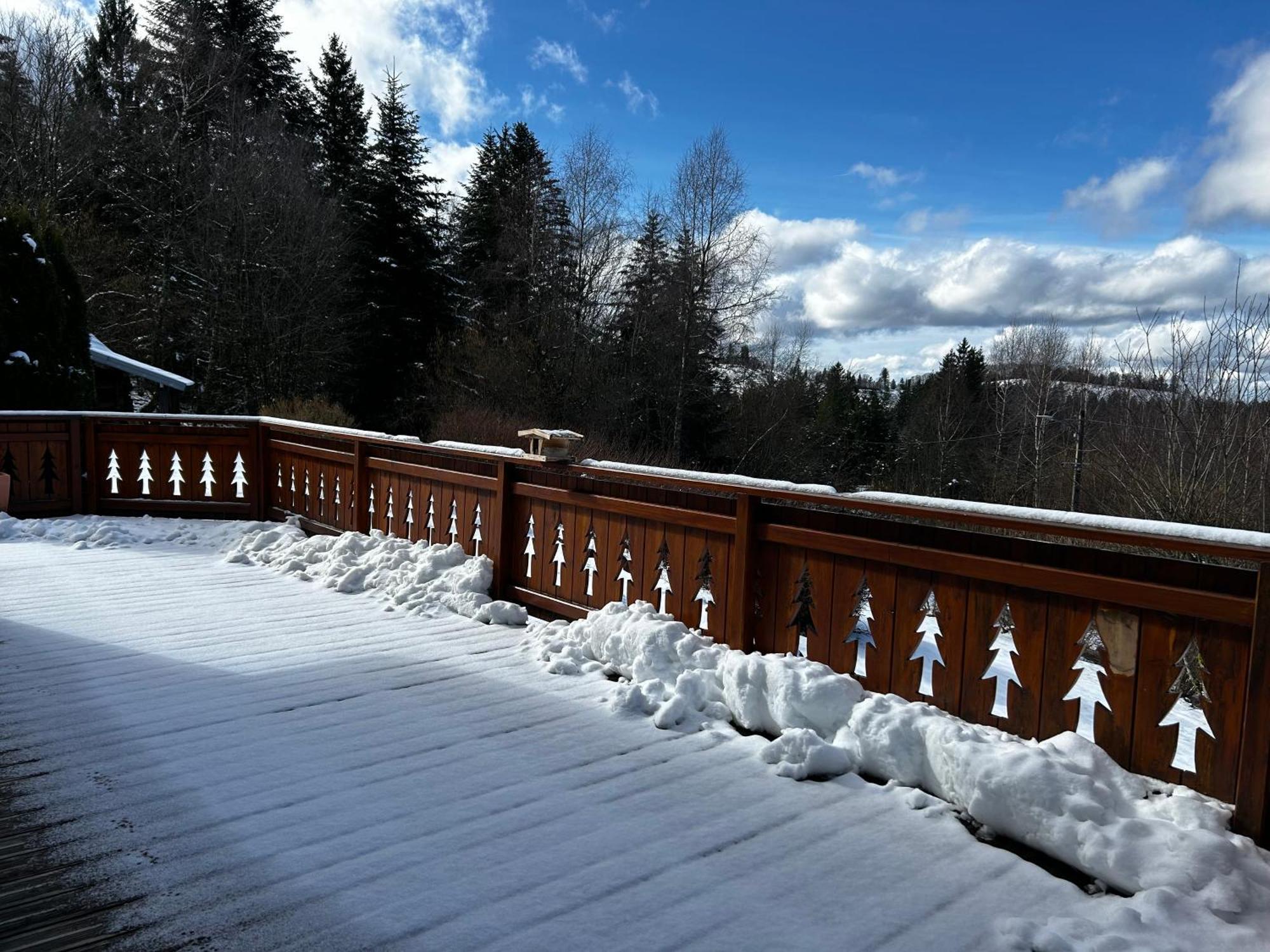 Chalet Avec Jacuzzi Prive, Vue Sur Les Vosges Belfahy エクステリア 写真