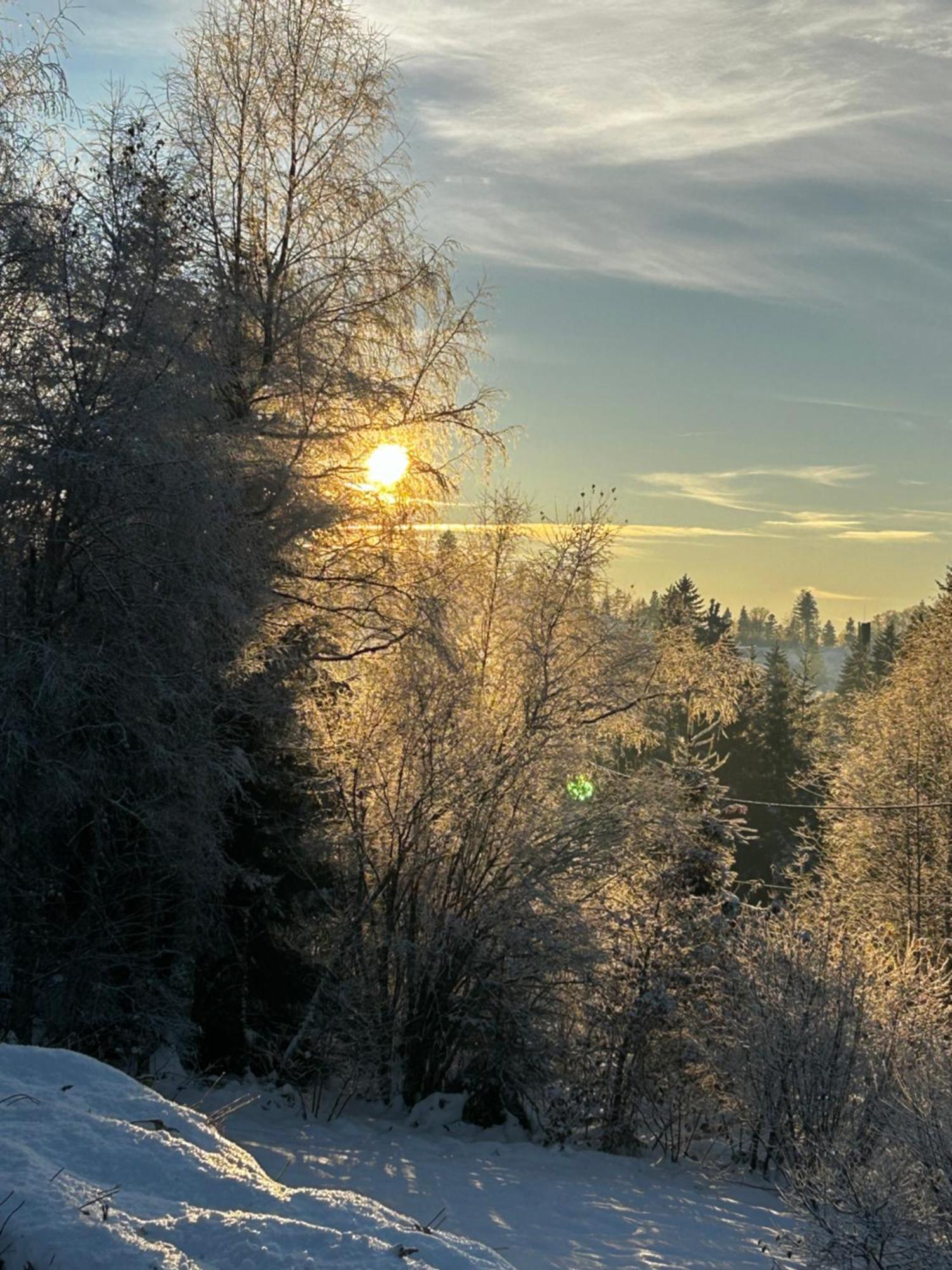 Chalet Avec Jacuzzi Prive, Vue Sur Les Vosges Belfahy エクステリア 写真