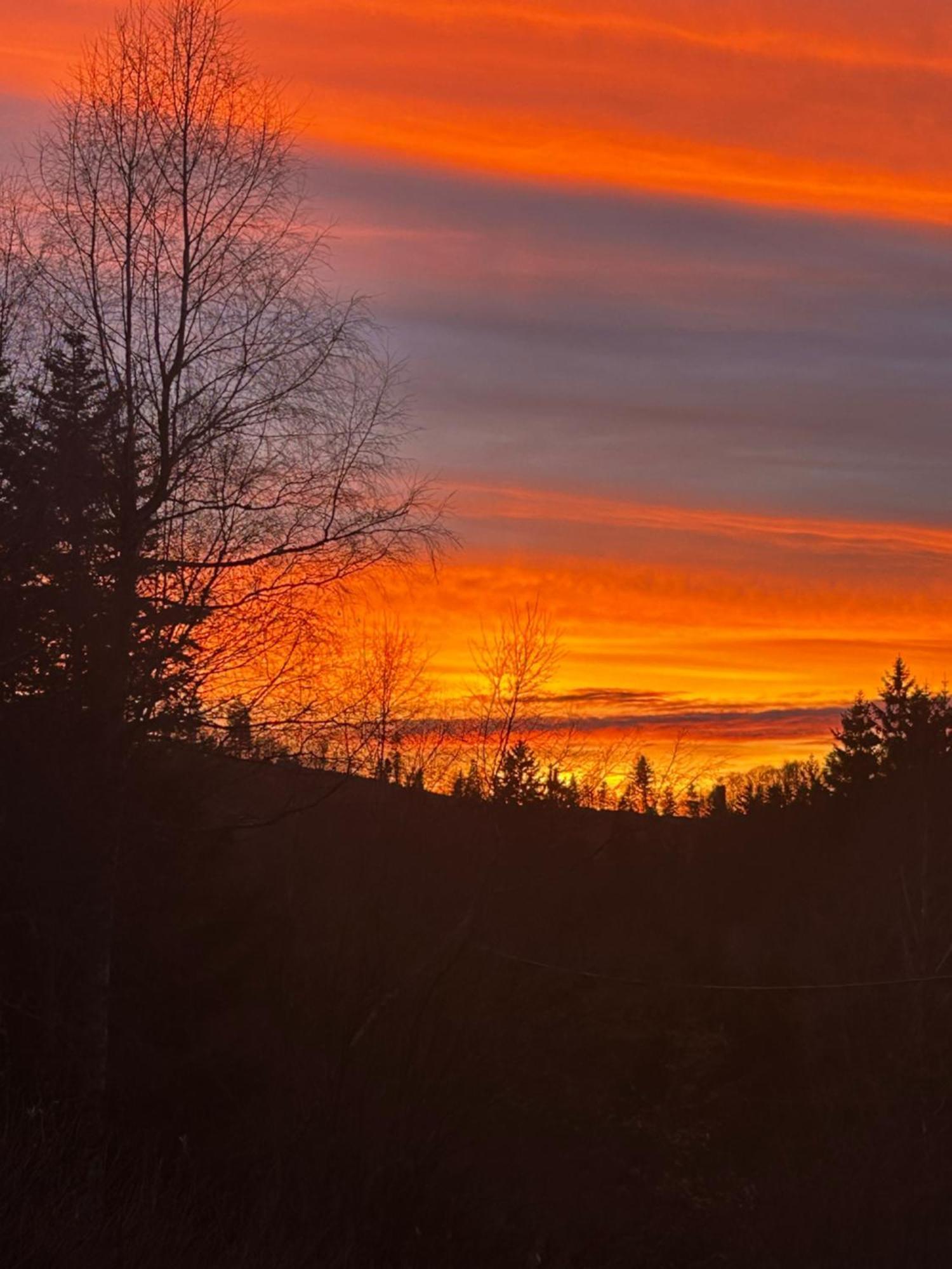 Chalet Avec Jacuzzi Prive, Vue Sur Les Vosges Belfahy エクステリア 写真